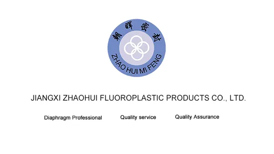 Corrosion Resistance Pneumatic Pump Seal Parts PTFE Diaphragm