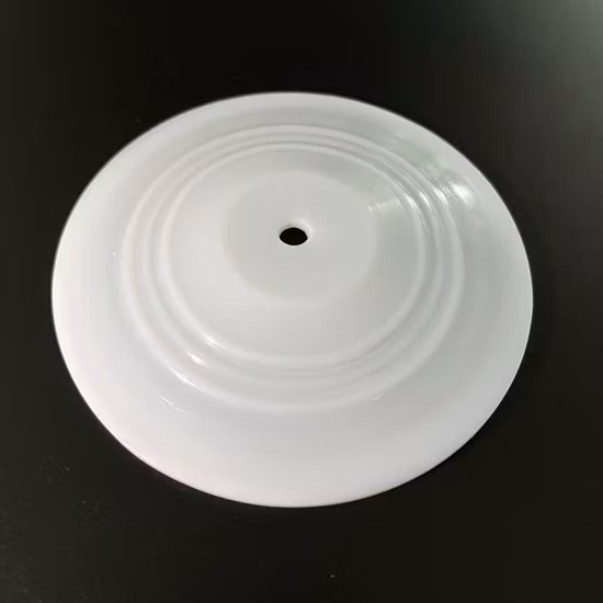 Corrosion Resistance Pneumatic Pump Seal Parts PTFE Diaphragm