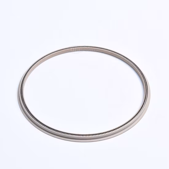 High Quality PTFE Spring Energized Seals with Slanted Coil Spring
